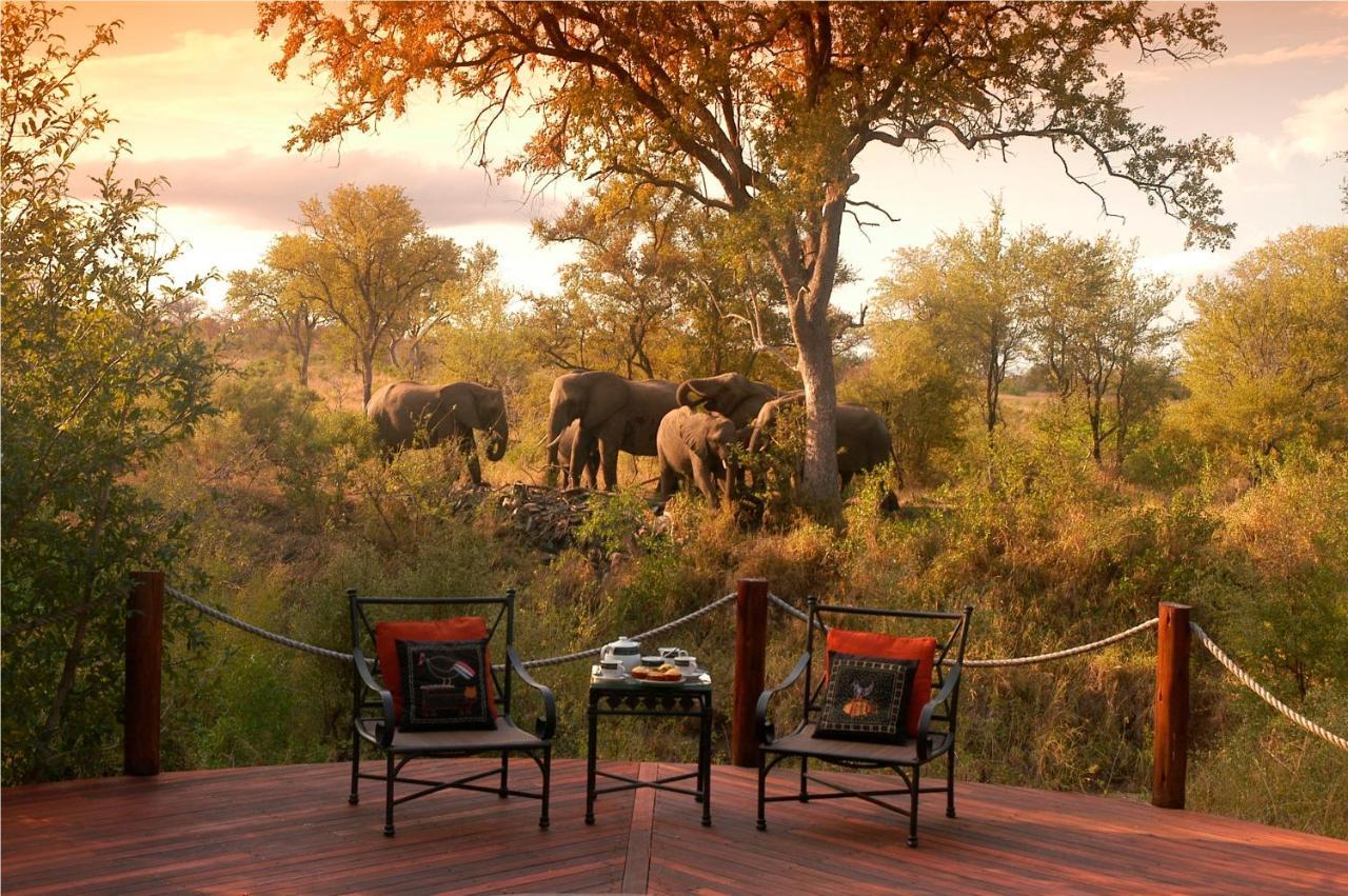 Hoyo Hoyo Safari Lodge Mluwati Concession Exterior photo