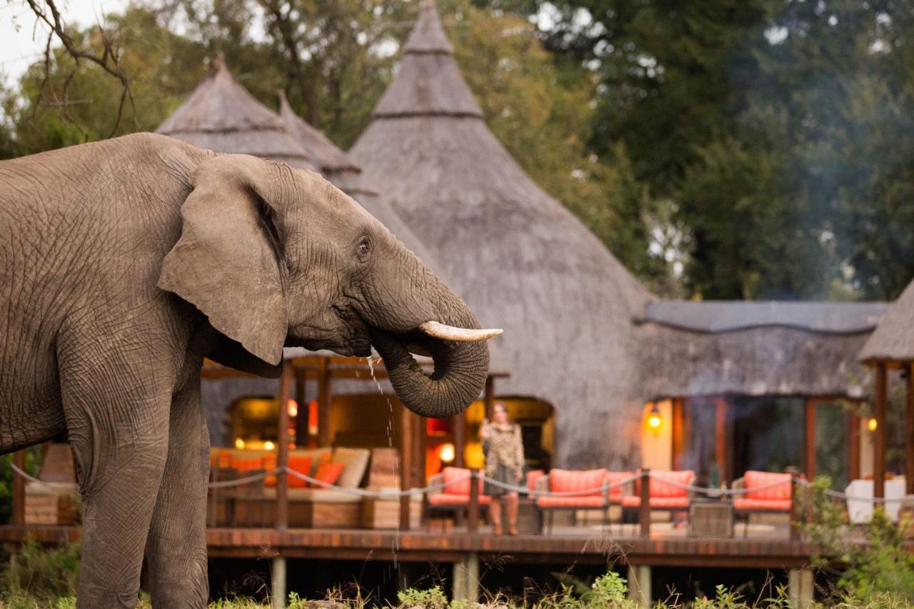 Hoyo Hoyo Safari Lodge Mluwati Concession Exterior photo